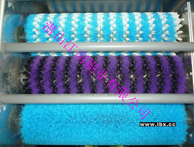 水产海参托盘清洗毛刷辊