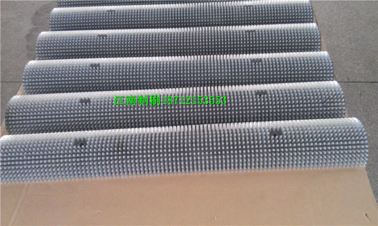 新疆水果清洗俩半式组合毛刷辊