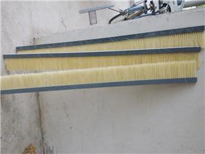 条形毛刷(墨西哥剑麻+pvc底板)