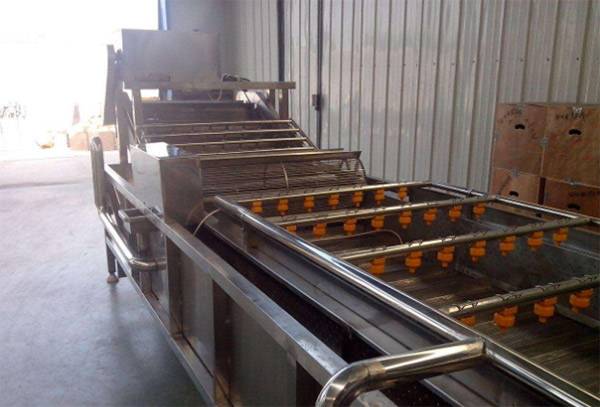 湖南富盈水果加工厂